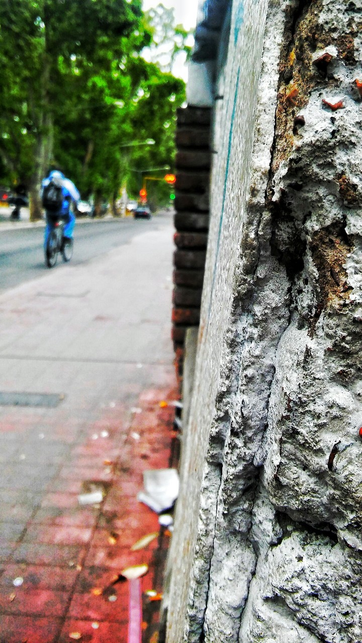 Street