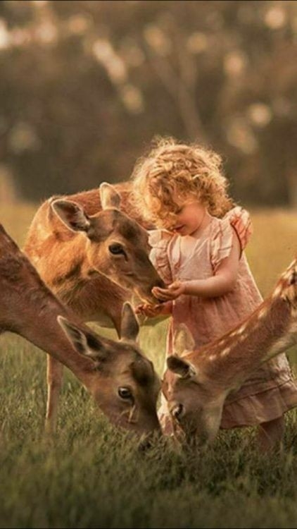 Sweet happiness