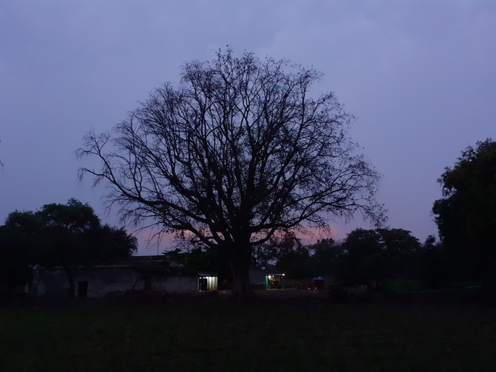 Evening View