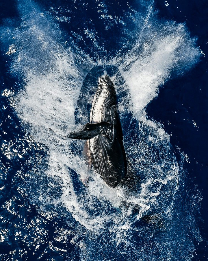 A Feel Good Breach