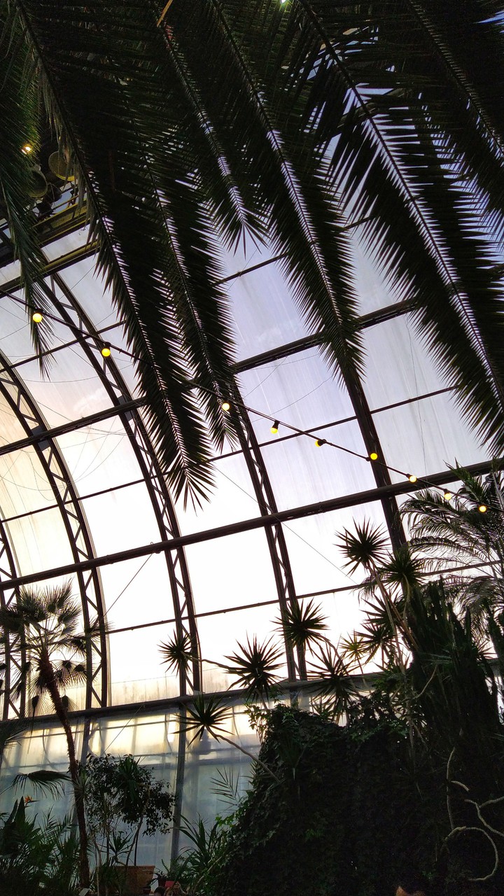 greenhouse