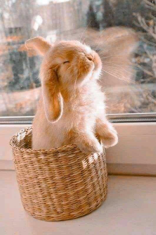 cute
