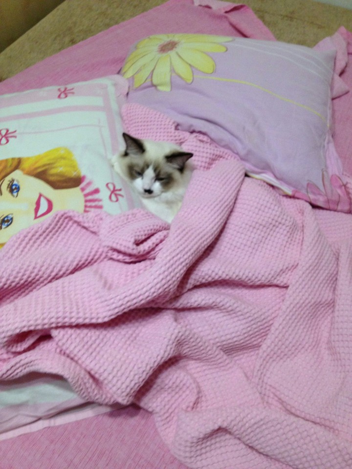 Sleeping Isabel