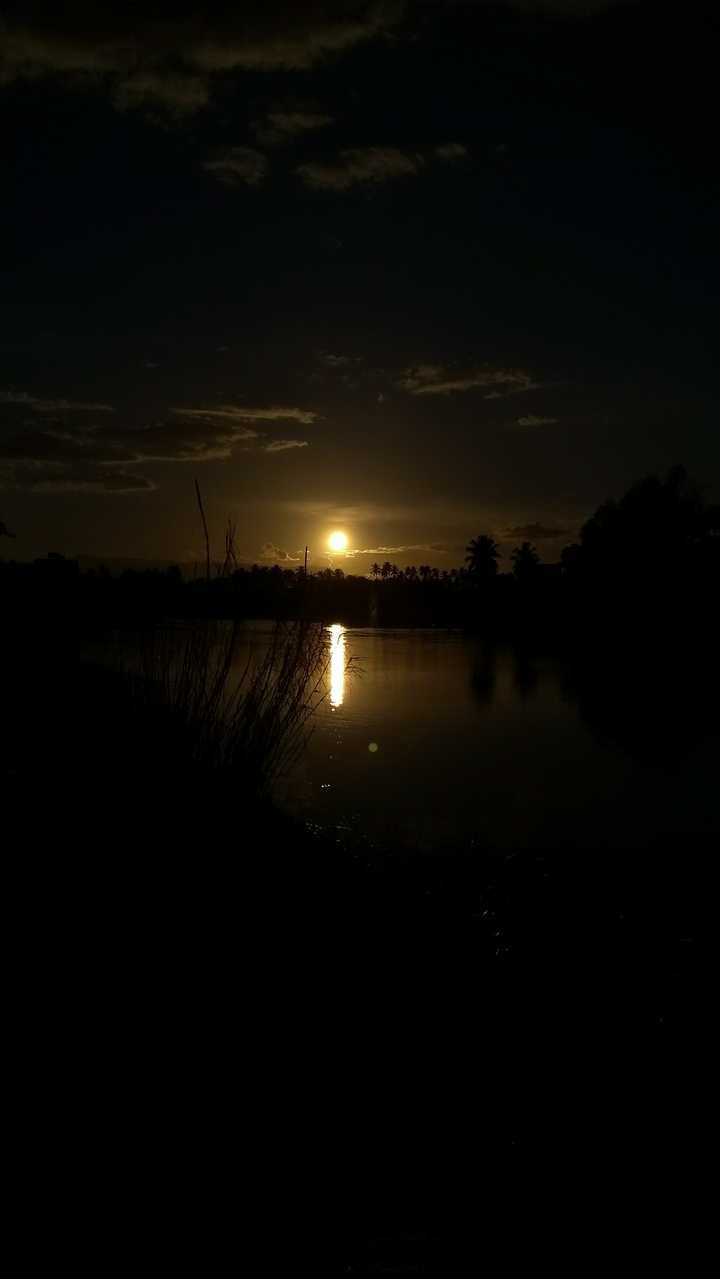 Evening light