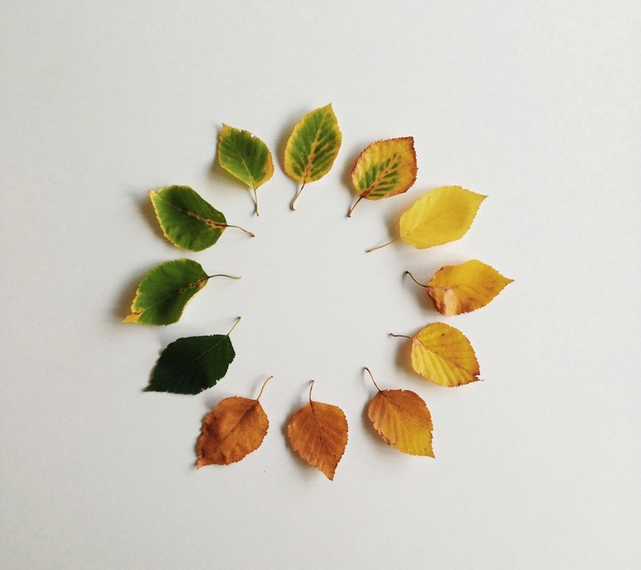 season