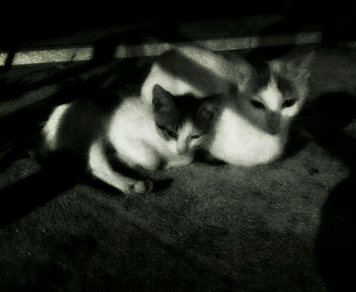 mother and son