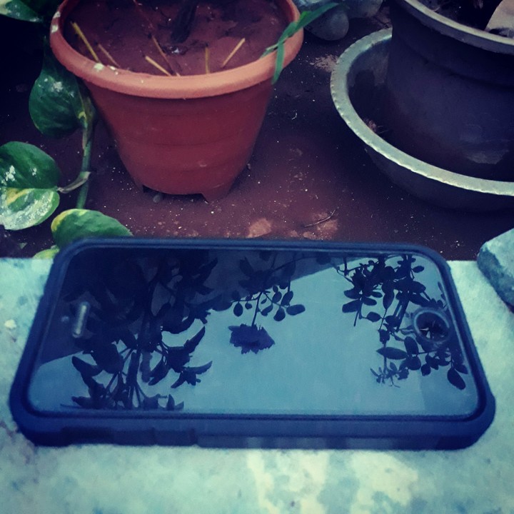 iPhone 5S