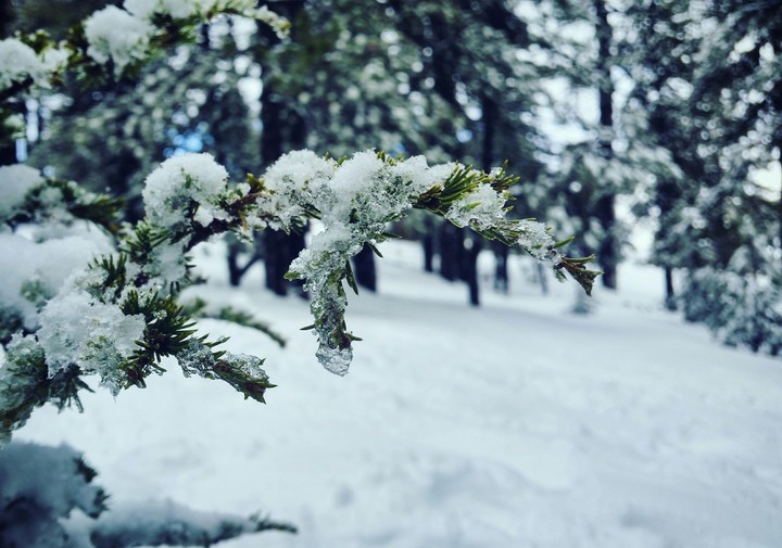 Last year's snow