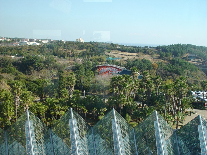 Bridge