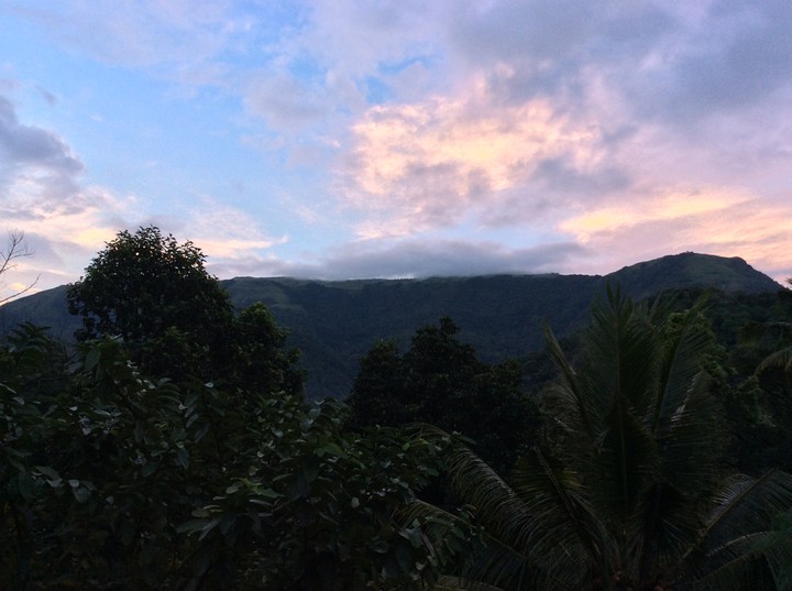 paithalmala(Kerala_India)