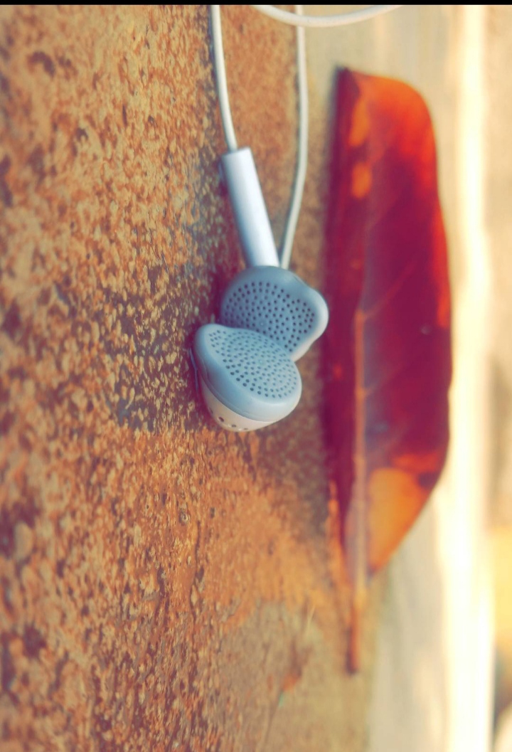 music is everything..