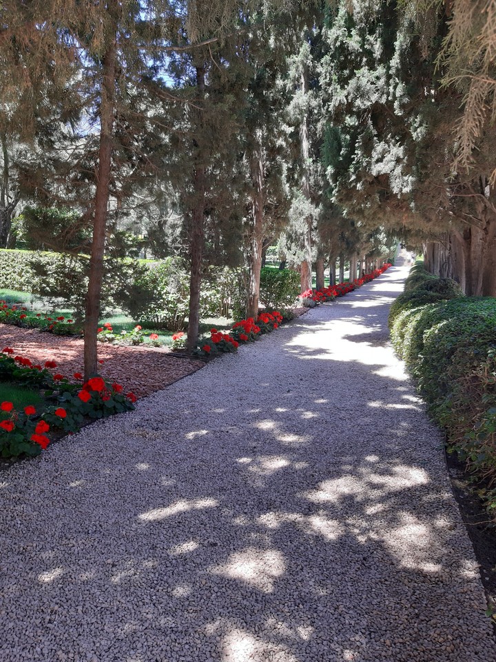 The beautiful garden ?