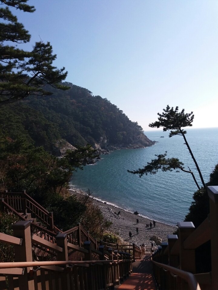 태종대