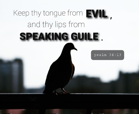 biblevers