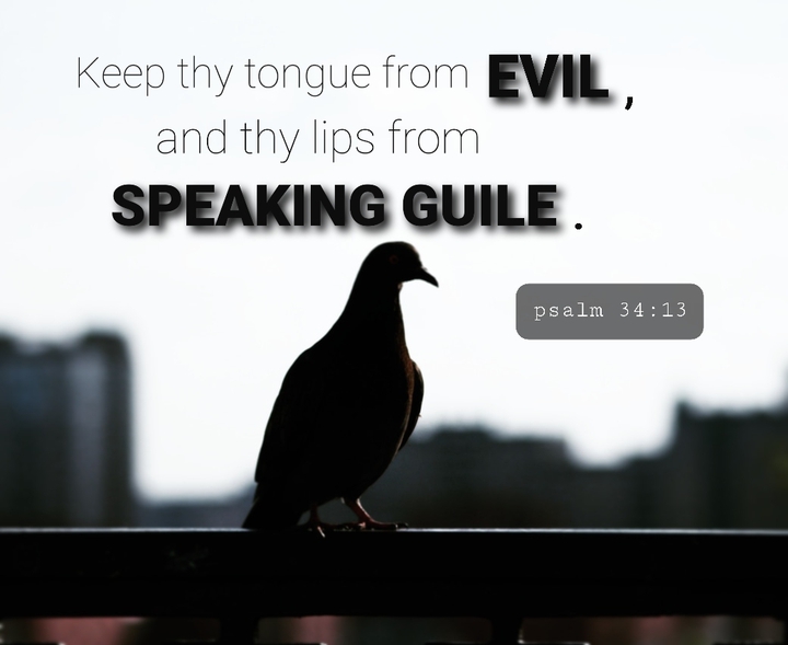 biblevers