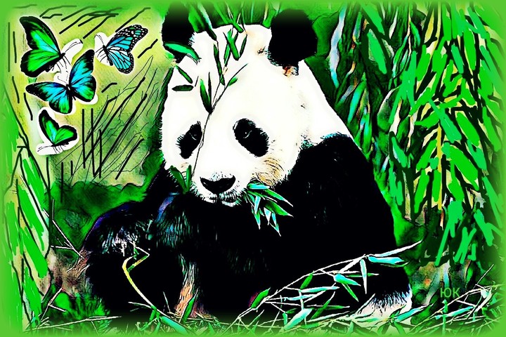 Еveryone likes panda .