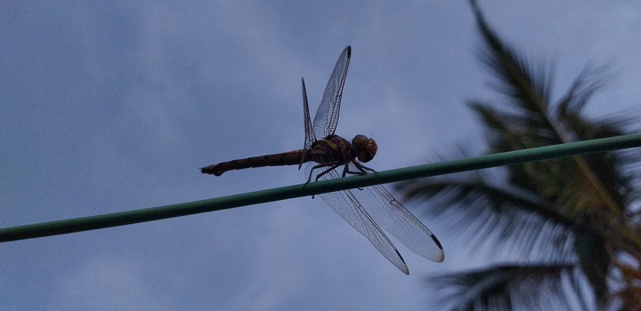 perfect landing