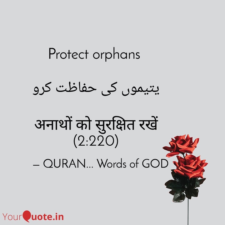 QURAN... words of GOD