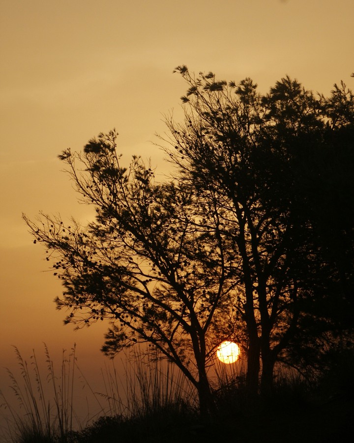 lever du soleil