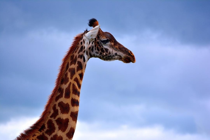 Zoo park