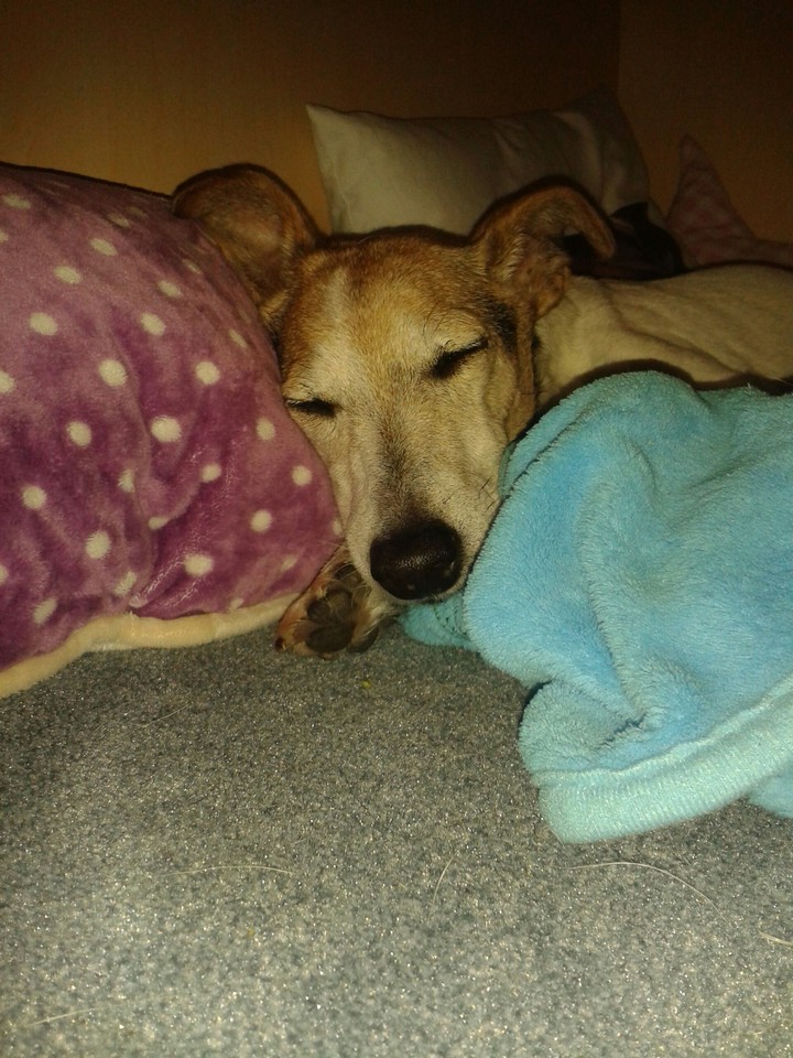Sleeping