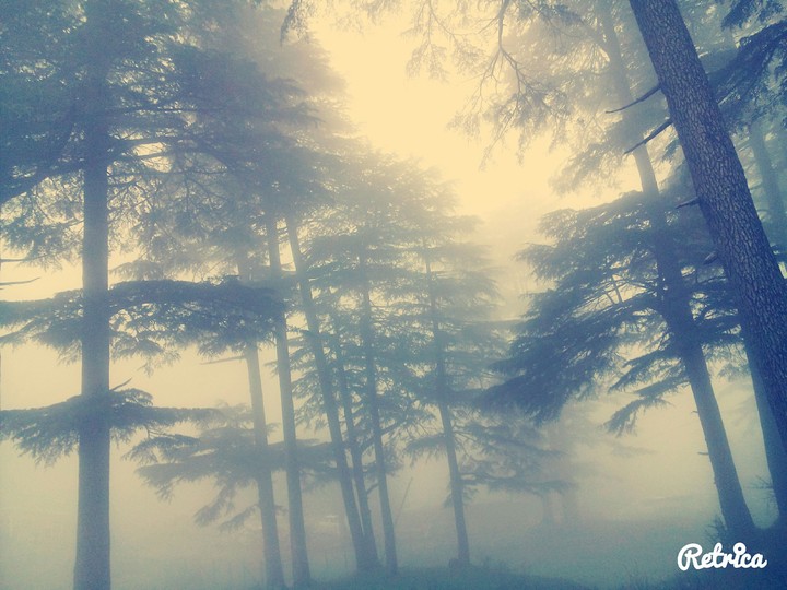 FoggyMrng