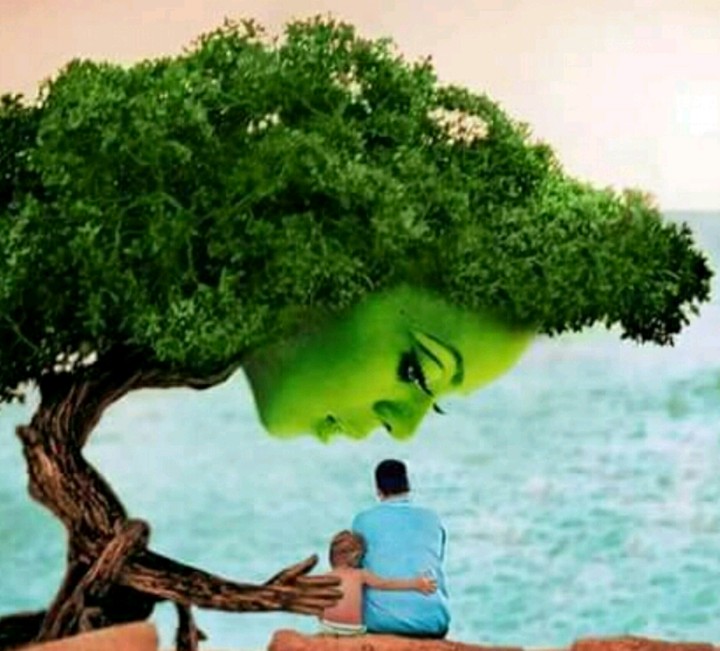 tree