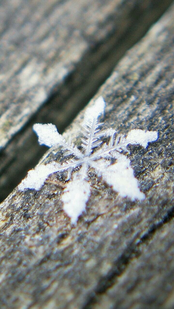 Snowflake