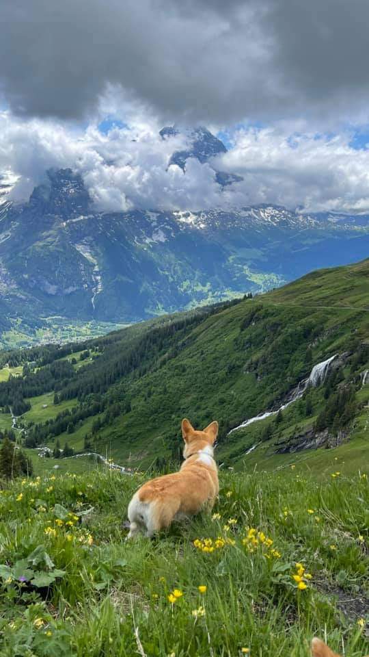 Switzerland