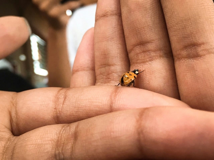 Is so little