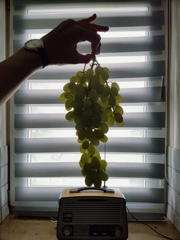 Grapes