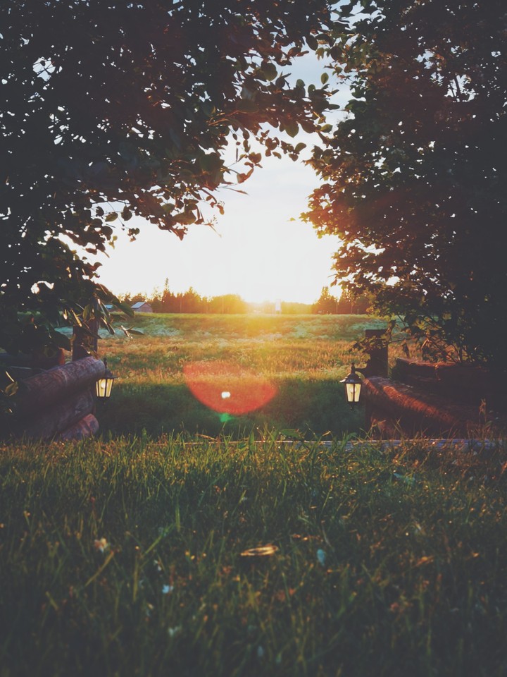 Midsummer night pt. 2