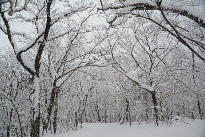 태백산이미지