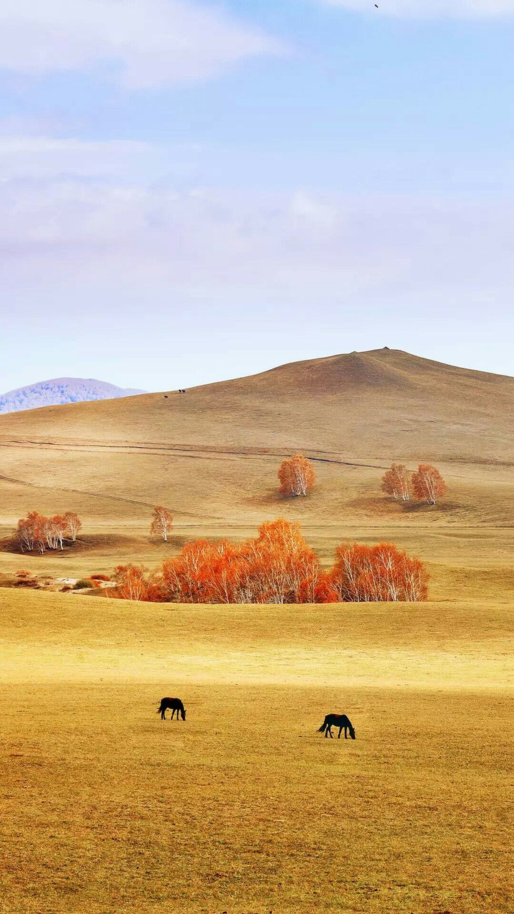 My Beautiful Rajasthan Desert