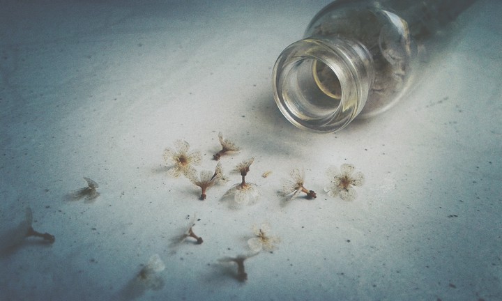 a lot of little flowers