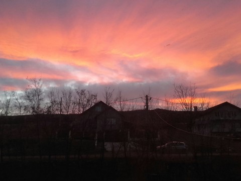 Twilight over houses