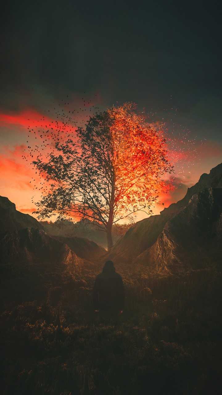 wallpaper nature