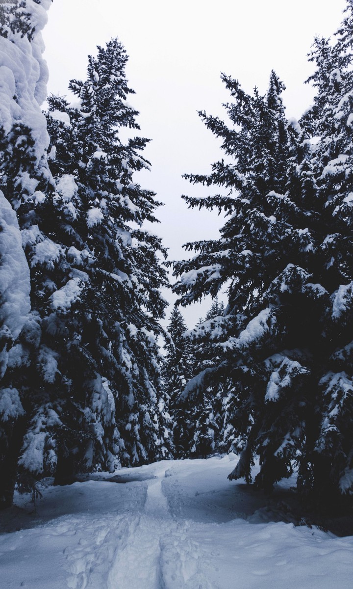 winter
