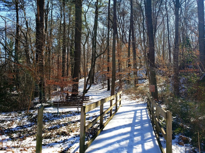 fresh trail