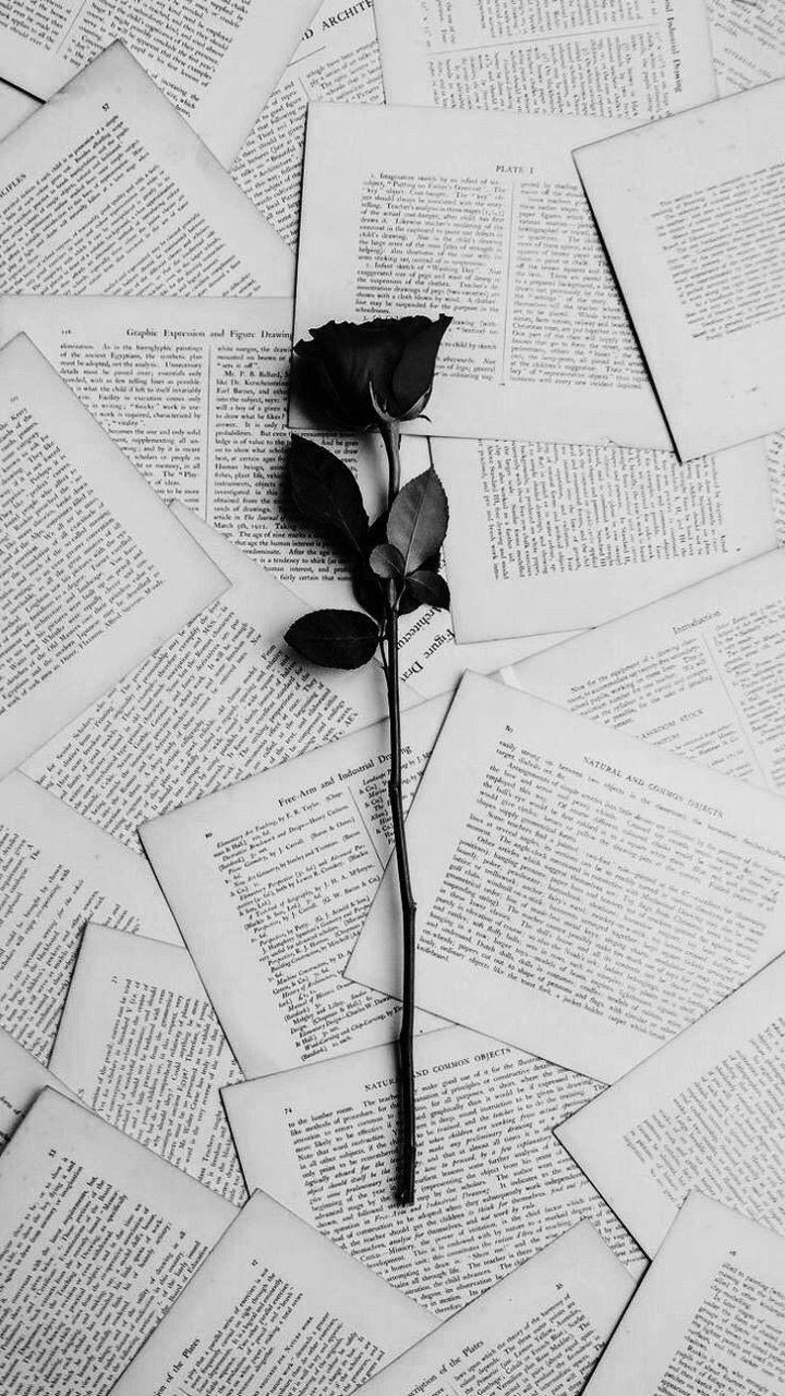 Black Rose
