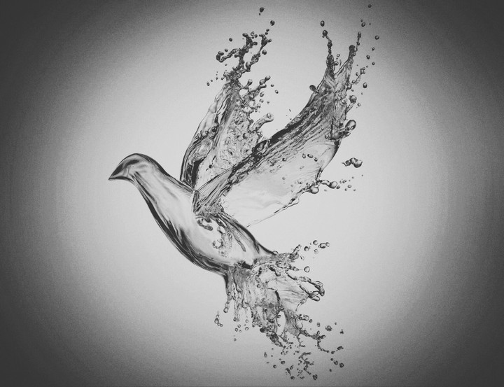 VOLAR SIN PARAR