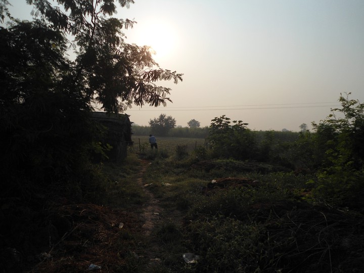 naturw in morning