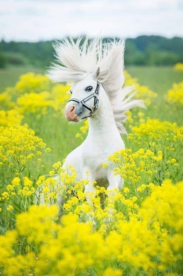 ❤