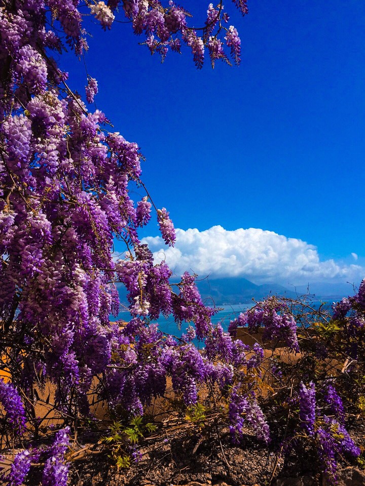 Naples