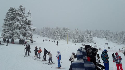 Bursa/Uludağ