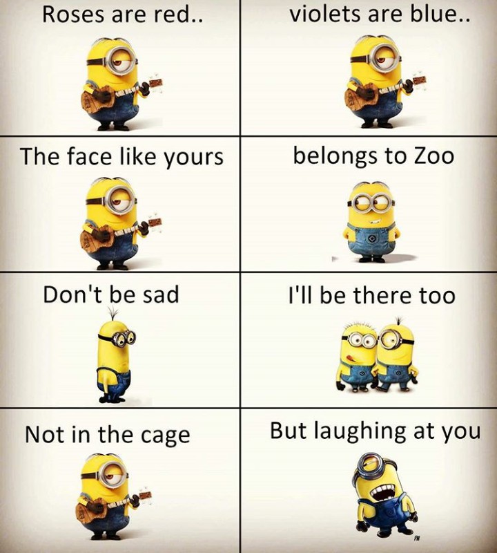 Minions !!!!!