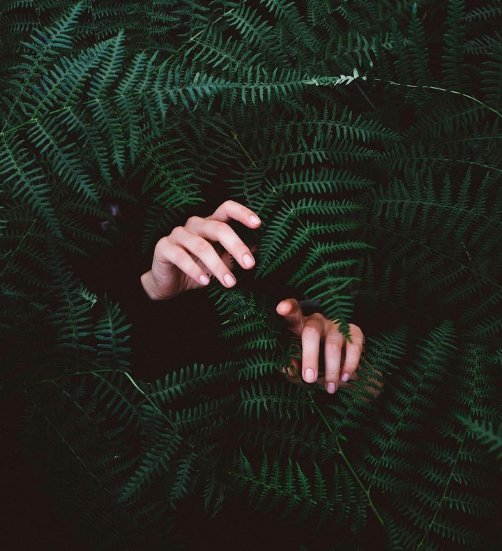 Hands~