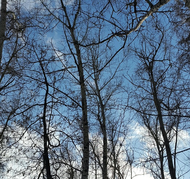Sky