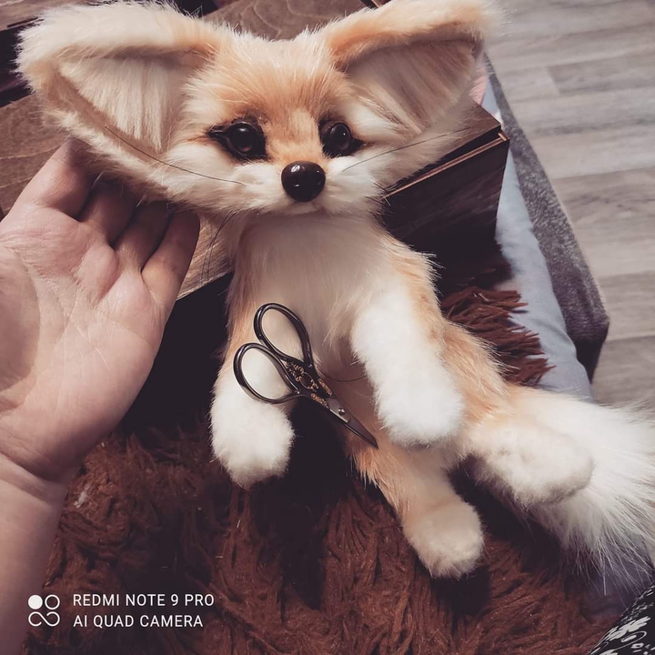 Фенек ?