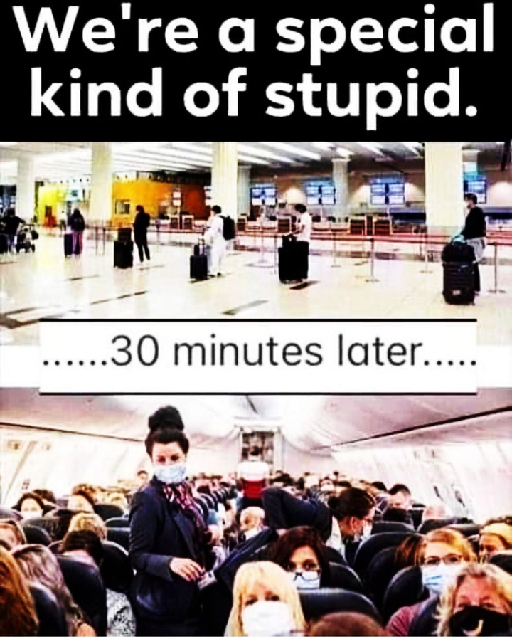 EDUC-ATED LITTER-ATED DOC-TRIN-ATED SHEEPLES !!